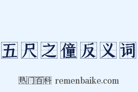 五尺之僮反义词是什么意思的图片